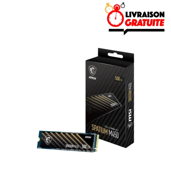 MSI SPATIUM M450 SSD 500GO
