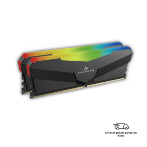Forgeon Cyclone DDR5 32Go RGB RAM gaming performance