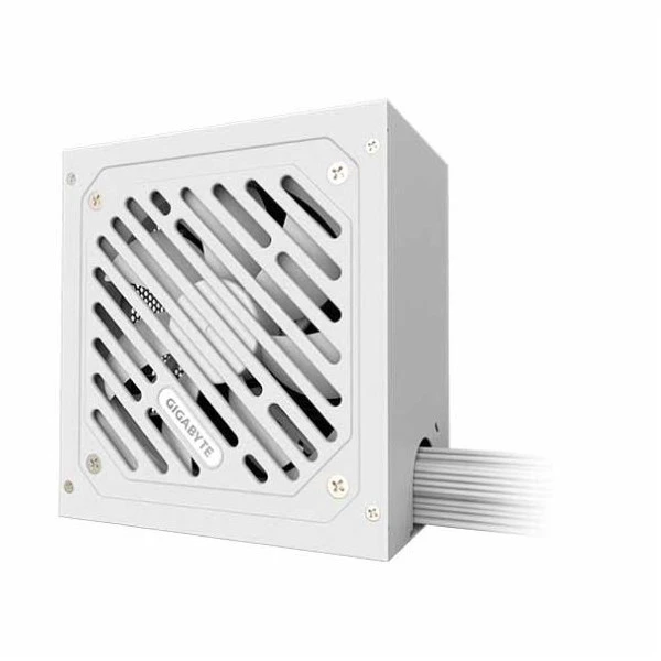 Gigabyte P650SS ICE